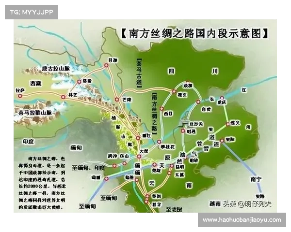 文化交流在历史变迁中的作用与影响探析：从古代丝绸之路到现代全球化进程